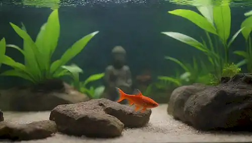 Un colorido tanque de pescado