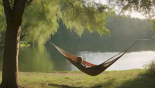 exuberante vegetación, lago sereno, cómodas hamacas, peludas perros, cálida luz del sol, suaves ondas sobre el agua, césped suave, zona sombreada, coloridas flores, ambiente tranquilo, ambiente relajante