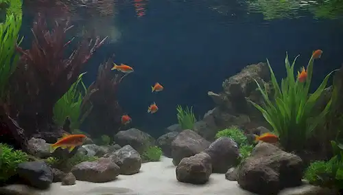 Un acuario colorido con una variedad de peces nadando juntos, incluyendo peces pequeños y grandes como Oscars, rodeado de plantas acuáticas exuberantes, rocas decorativas y madera de deriva, con ondas de agua y reflejos creando un sentido de profundidad