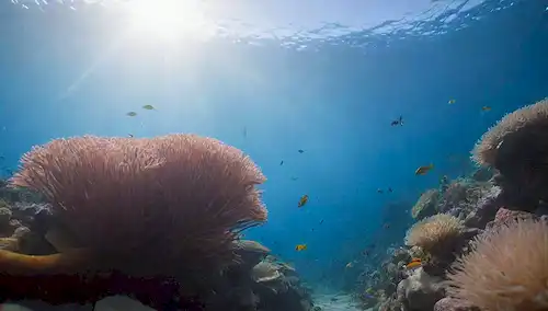 Vibrant coral reef scene with schools of small fish, swaying seaweed, and bright anemones; a few larger fish swim in the background with vibrant rayas or patterns; clear blue water with sun rays bright down; tropical flowers and plants on the seafloor; playful fish darting around the photograph