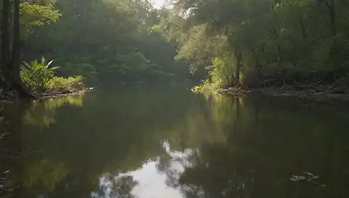 Un paisaje cálido y soleado de sabanas con un pequeño estanque rodeado de vegetación exuberante y árboles altos, con una tortuga nadando cerca de la orilla, unas pocas hojas y ramitas flotando en la superficie de las aguas, una suave brisa frotando el follaje, un sutil sentido de humedad en el aire