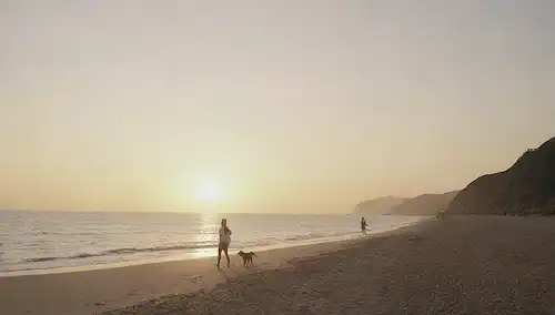 Un paisaje sereno con una persona caminando junto a su perro en una playa al atardecer, un grupo de amigos que juegan a buscar en un parque, una pareja feliz acurrucando con su mascota en una cumbre de montaña, una familia de senderismo junto con su compañero furioso por su lado
