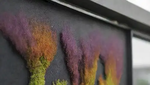 ilustración 3D de un edificio residencial o comercial, con varios tipos de algas creciendo en sus paredes exteriores y techo, posiblemente incluyendo manchas de color verde-negro, algas de color naranja-amarillo, o floraciones de color púrpura; planos de especies algas individuales; un electricista ajustando o inspeccionando accesorios de iluminación; sombras proyectadas por la estructura; aspectos sutiles para indicar la luz solar; humedad del sentido atmosférico