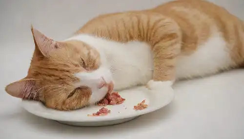 Un gato acostado en un fondo blanco, con un esbozo débil alrededor de su cuerpo, ojos medio cerrados, lengua fuera, y una sombra sutil debajo de su vientre; en primer plano, un pequeño plato con unas cuantas migajas dispersas, un tazón con agua, y un pedazo de comida parcialmente comido cerca