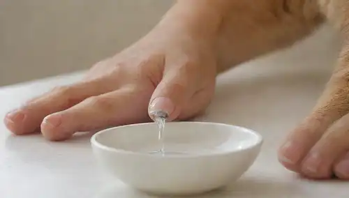 Una pata de gatos con uñas bien recortadas, un clipper de uñas y un pequeño tazón de agua cerca, un fondo blanco suave, iluminación suave, unas pinceladas sutiles para transmitir textura