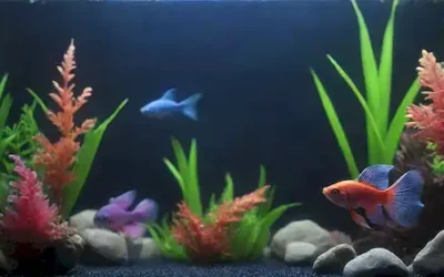 Una colorida y juguetona escena del acuario con una lucha de peces nadando junto a plantas