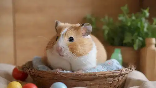 Un lindo hámster en un acogedor nido con ropa de cama suave, rodeado de comida fresca y botellas de agua, iluminación suave, y unos pocos juguetes, con un toque de whiskers y textura de piel, en un fondo de color natural con detalles sutiles de madera
