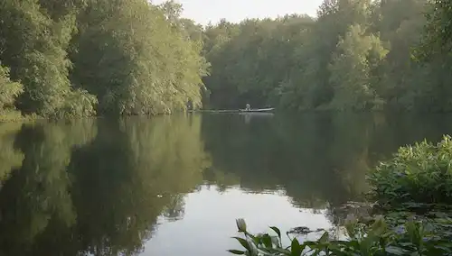 Un lago sereno con agua tranquila, unos pocos lirios flotando sobre su superficie, un pequeño barco de pesca anclado en la distancia, unos pocos árboles que rodean el borde de los lagos, luz solar filtrando a través de las hojas, un pez nadando cerca de la orilla