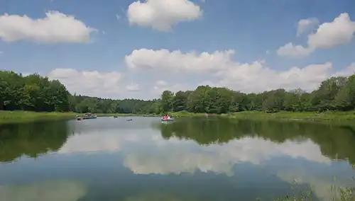 Un lago sereno, un grupo de peces coloridos nadando en el agua, unos cuantos barcos flotando en la superficie, una exuberante orilla verde, un cielo soleado con nubes blancas hinchadas