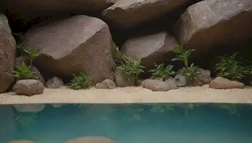 Entorno tipo terrario 3D con afloramientos rocosos, vegetación, y una piscina poco profunda de agua, con múltiples especies Pogonas en diferentes colores, con una pequeña zona de arena para las estructuras de cultivo y escalada