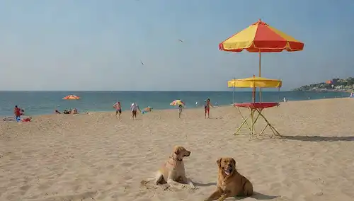escena de playa con perros jugando, mar tranquilo, soleado cielo, coloridos paraguas de playa, sandcastles, torre de salvavidas, gaviotas volando, felices propietarios de perros, ambiente relajado