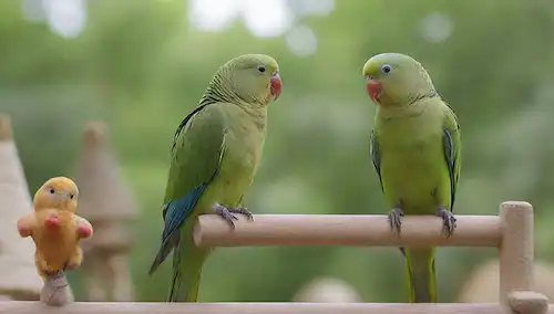 2 parakeets sentados sobre una percha, rodeado de juguetes y golosinas, con vegetación en el fondo, un pájaro inclinado hacia el otro, transmitiendo amistad, colores vibrantes e iluminación natural