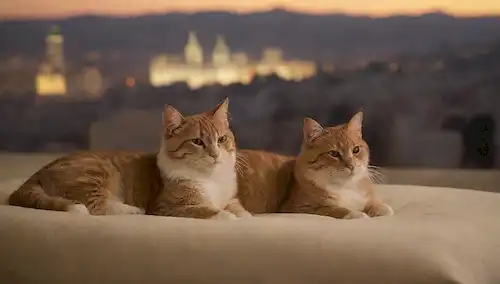 3-4 gatos saltando en una cama de felpa, rodeado de cojines suaves, iluminación cálida, y un sutil toque de aroma de catnip, con un fondo de color neutro para destacar las líneas felinos, posiblemente un paisaje urbano o características arquitectónicas de Madrid en el fondo