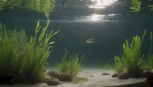 Un pez nadando en medio de plantas acuáticas exuberantes, con una sutil burbuja de CO2 saliendo de una tubería inferior de tanque oculto, rodeado de ondas de agua calmante, la luz del sol caliente fluyendo a través de un recipiente de plástico claro, y suaves wisps de algas aferrarse a rocas sumergidas